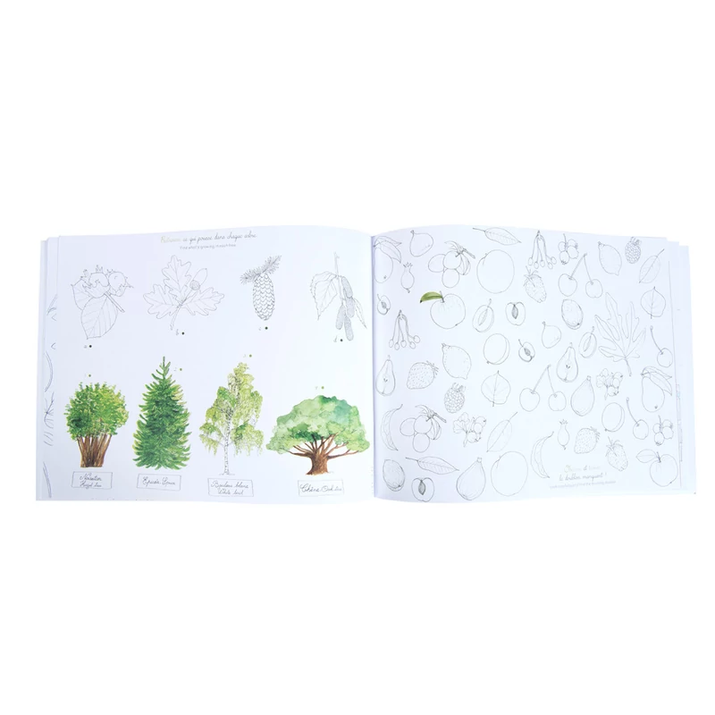 Moulin Roty - Kiskertem - Foglalkoztató füzet - Természet